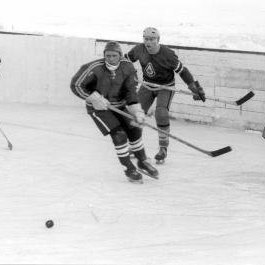 hockey-21-41dbcec90c360.jpg