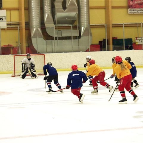 hockey-55-436e1e0cc3085.jpg