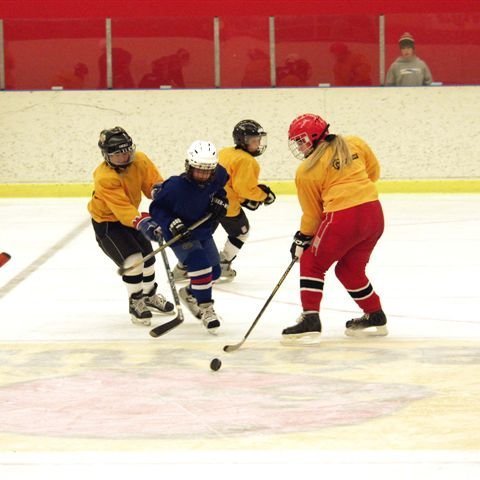 hockey-55-436e1e16aea64.jpg