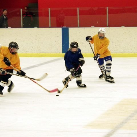 hockey-55-436e1e17f1f0a.jpg