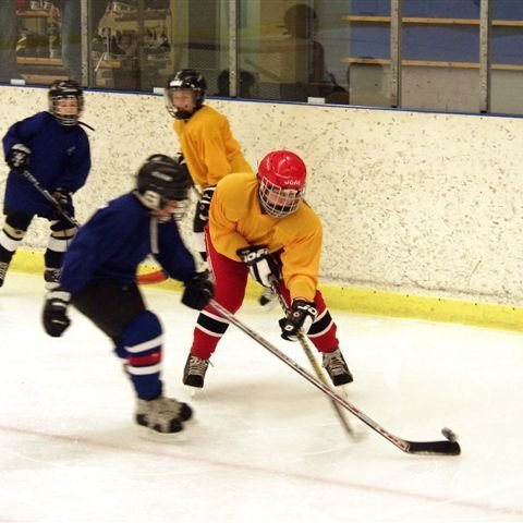 hockey-55-436e1e2053a46.jpg