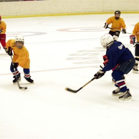 hockey-55-436e1e257e27e.jpg