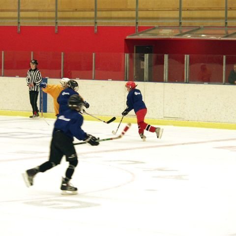 hockey-55-436e1e2833184.jpg