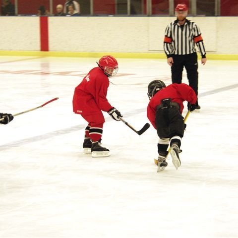 hockey-56-43769e9788825.jpg