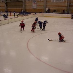hockey-30-422c5a212e64b.jpg