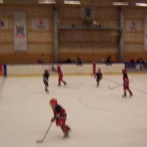 hockey-30-422c5a7ad6d94.jpg