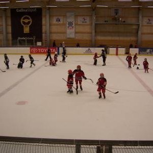 hockey-30-422c5a8a50930.jpg