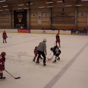 hockey-31-422c5cdf641a8.jpg