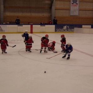 hockey-31-422c63b753034.jpg
