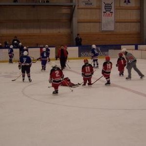 hockey-31-422c63c530d50.jpg