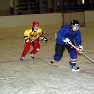 hockey-36-424155a87c844.jpg