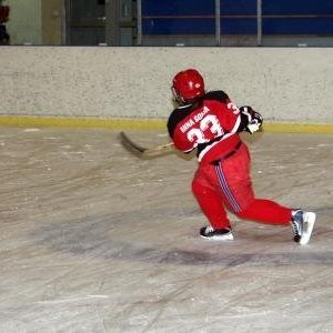hockey-36-4241561cea610.jpg