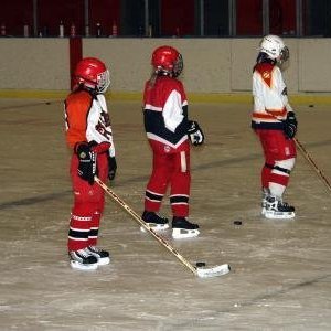 hockey-36-4241565d9c410.jpg