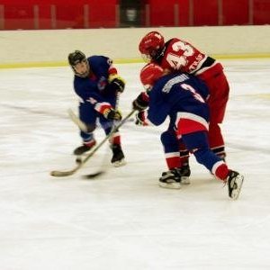 hockey-37-42415f7030d55.jpg