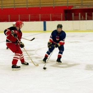 hockey-37-42415fc530d50.jpg