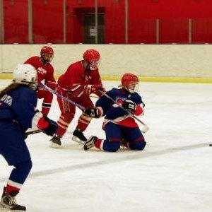 hockey-37-42415fd533460.jpg