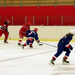 hockey-37-42416038205b9.jpg