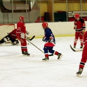 hockey-37-424160a2ad596.jpg