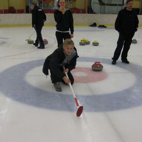 Steinninn á að koma hingað!