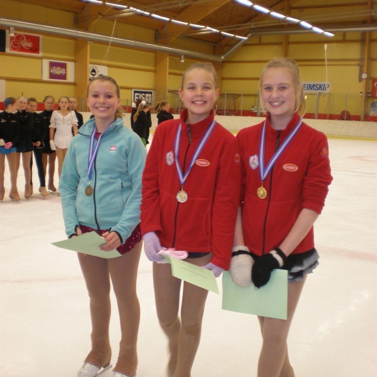 haustmotiss_2008_12bverdlaun_1-1