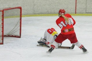 Mynd: Sigurgeir Haraldsson (12.02.2013)