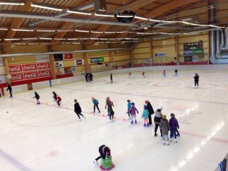 Fjölskylduskautun listhlaupadeildar á gamlársdag