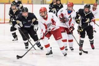 Úrslit kvenna hefjast í kvöld og mikil hokkíveisla framundan