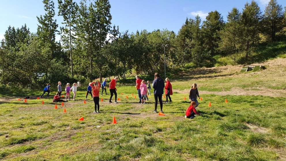 Sumardagskráin hjá Skautafélaginu