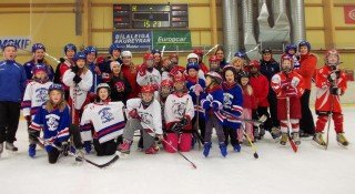 Fjölmenni á stelpuhokkídegi