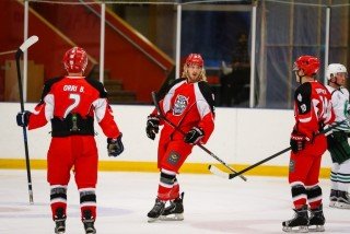 Úrslitakeppnin í Hertz-deild karla hefst á þriðjudag