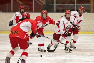 Mynd: Elvar Freyr Pálsson (24.01.2012)