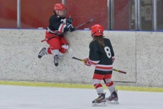 Mynd: Ásgrímur Ágústsson (Vormót 2013)