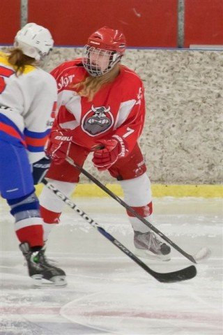 Mynd: Ásgrímur Ágústsson (12.02.2013)