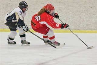 Mynd: Ásgrímur Ágústsson (08.03.2013)