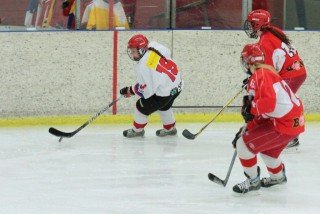 Mynd: Sigurgeir Haraldsson (12.02.2013)