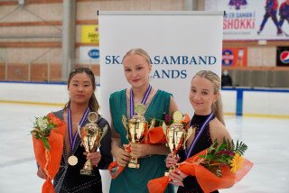 Íslandsmeistarar í listhlaupi 2021 (iceskate.is)