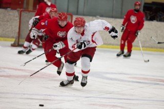 Grrrr. Myndina tók Elvar Pálsson