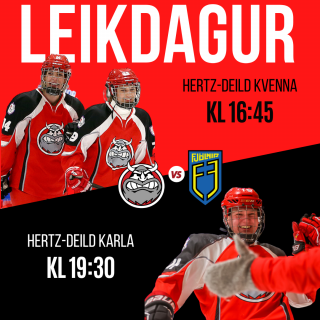 Leikdagur