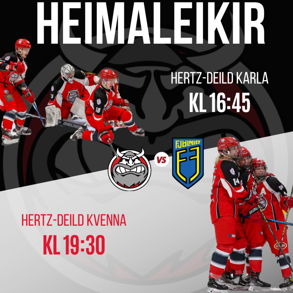 Tvíhöfði í Skautahöllinni um helgina