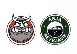 2 sigrar um nýliðna helgi hjá SA