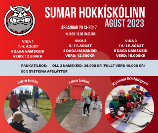 Sumarhokkískólinn að hefjast