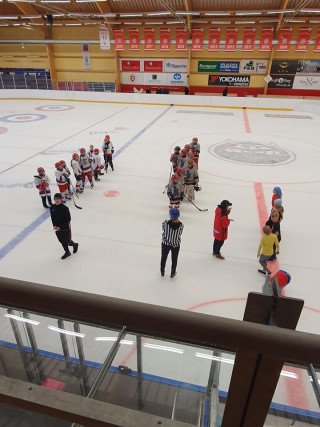 Úrslit úr vormóti hokkídeildar