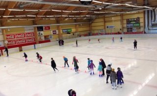 Fjölskylduskautun listhlaupadeildar á gamlársdag