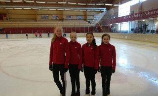 Fulltrúar LSA á Norðurlandamótinu 2017