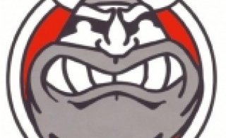 Víkingar - Fálkar : LEIKURINN FER EKKI FRAM - AFLÝST