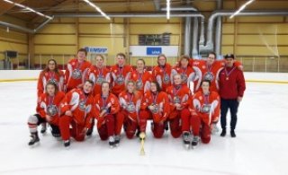 3. flokkur SA Íslandsmeistari 2017