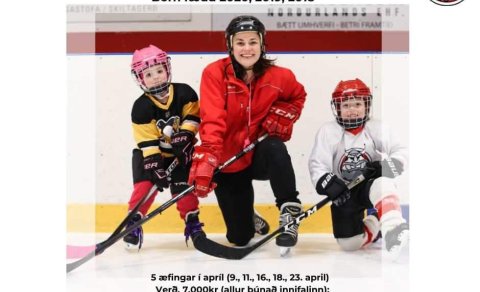 Kríla námskeið í íshokkí