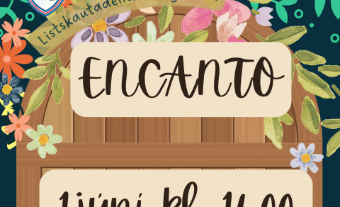 Vorsýningin á laugardag - 1. júní