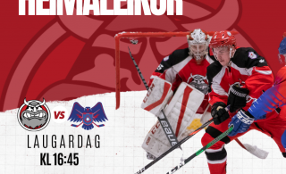 SA Víkingar vs SR í Hertz-deild karla á laugardag