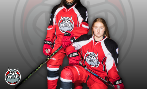 Heimaleikur SA taka á móti Fjölni á sunnudag